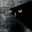 hseguridad APK