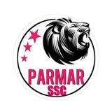 Parmar Academy icône
