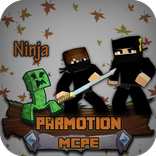 Ninja Skin For Minecraft