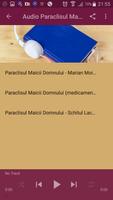 Paraclisul Maicii Domnului ảnh chụp màn hình 2