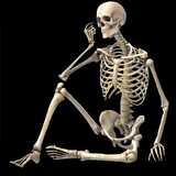 Skeletal System (Anatomy) icon