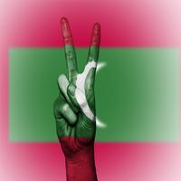 Maldives Flag Wallpapers capture d'écran 1