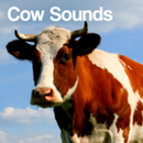 Cow Sounds APK