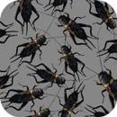 Cricket Sounds APK