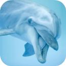 Dolphin Sounds APK