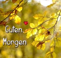 Guten Morgen スクリーンショット 1