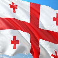 Georgia Flag Wallpapers скриншот 2