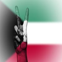 Kuwait Flag Wallpapers पोस्टर