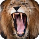 Lion Sounds APK