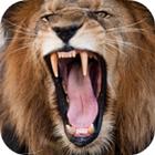 آیکون‌ Lion Sounds