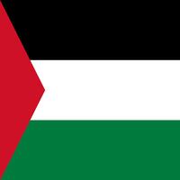 Palestine Flag Wallpapers Affiche