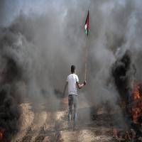 Palestine Flag Wallpapers ảnh chụp màn hình 1