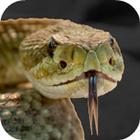 Rattlesnake Sounds иконка