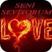 Seni Seviyorum