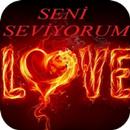 APK Seni Seviyorum