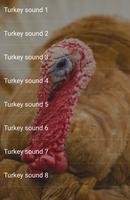 Turkey Sounds-poster