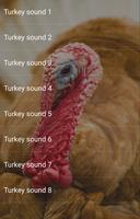 Turkey Sounds screenshot 1