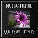 Motivational Quotes Wallpaper APK