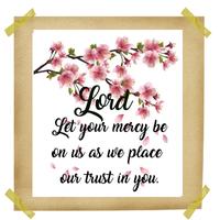 Bible Quotes 截圖 2