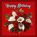 Happy Birthday Wishes APK