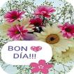 BON DIA!