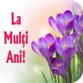 La Mulți Ani! Imagini