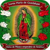 Virgen de Guadalupe Imagenes icône