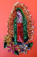 Virgen de Guadalupe Imagenes скриншот 1