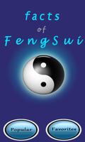 Fact Of Feng Sui poster