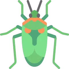 Insect Identification