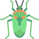 Insect Identification APK