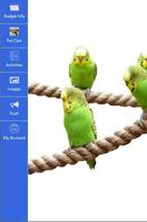 Budgie الملصق
