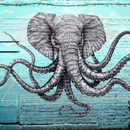 Graffiti Wallpapers Art HD-APK