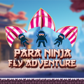 Para Ninja Fly Adventure