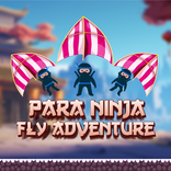 Para Ninja Fly Adventure