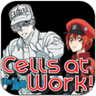 Hataraku Saibou (Anime TV) - Cells at Work