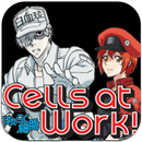 Hataraku Saibou (Anime TV) - Cells at Work aplikacja