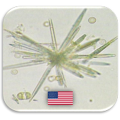 Urinalysis Quiz-icoon