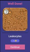 Urinalysis Quiz تصوير الشاشة 1