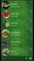 Houseplants plakat