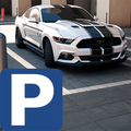 Trình mô phỏng đỗ xe Mustang