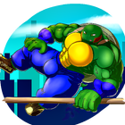 Turtle Racing Game icône
