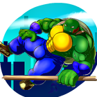 Turtle Racing Game أيقونة