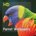 Parrot Wallpapers