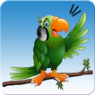 Parrot Speech - Teach Parrot t