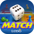Ludo Party King