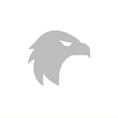 Weather by Falcon: Forecast an APK