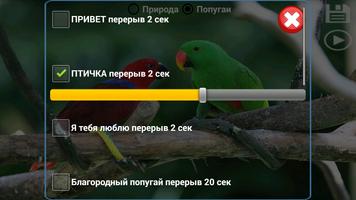 Разговорник для попугаев syot layar 1