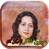 پروین شاکر کی شاعری خوشبو icono