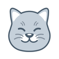 Curious Cat App: Paid Surveys